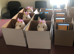 Boxes of stuffed unicorns